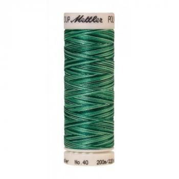Нить для вышивания 4820-9931 METTLER POLY SHEEN MULTI 